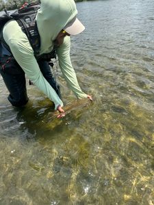 Fishing in MI