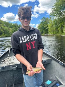 A person fishing in Brethren