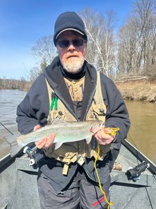 Beautiful Trout in Manistee River, MI.