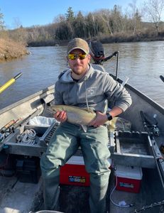 A single rainbow trout, 12 inches long, caught while fishing in Brethren