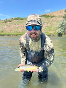 A single sea trout caught in Brethren while fishing