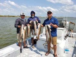 Large Redfish fishing in Rio Hondo