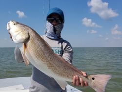 Angler with big fish caught in Rio Hondo