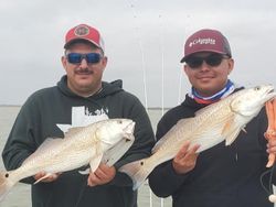 Two anglers fishing in the Rio Hondo with 2 fish