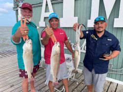 Three redfish and spotted weakfish caught in Rio Hondo