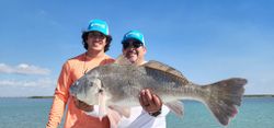 Black Drum fish caught while fishing in Rio Hondo