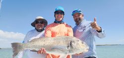 A giant black drum fish caught at Rio Hondo
