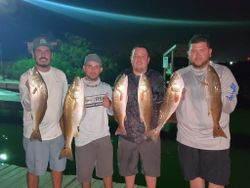 Redfish caught by 4 anglers in TX