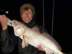 Redfish caught while fishing in TX