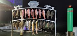 Five fish caught in the Rio Hondo river
