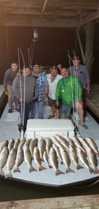 Three big fish caught on a fishing trip at Rio Hondo
