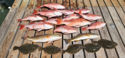 11 fishing in Rio Hondo