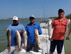 5 fish caught in TX while fishing