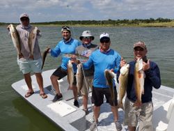 Redfish, 6 big fish, TX fishing