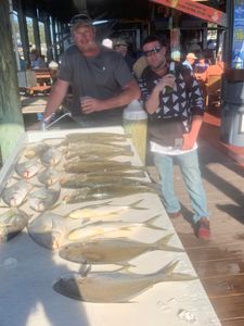 Three Florida Pompano fish caught fishing in FL