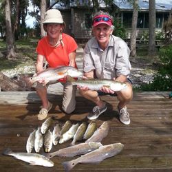 7 redfish and spotted weakfish caught in Homosassa