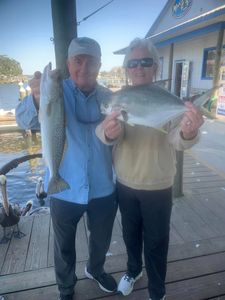 Two spotted weakfish and Florida pompano fish in Homosassa