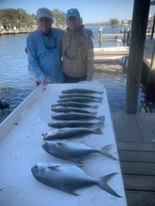 Three permit and spotted weakfish caught in Homosassa, Florida
