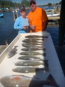 6 spotted weakfish caught while fishing in FL