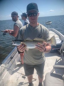 Spotted weakfish caught in Homosassa, Florida