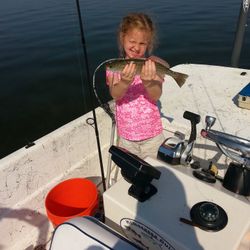Spotted Weakfish caught while fishing in Homosassa