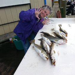 Three spotted weakfish caught in FL