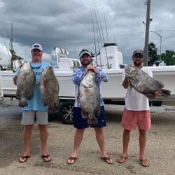 Best Gulf Shores fishing charters adventure!