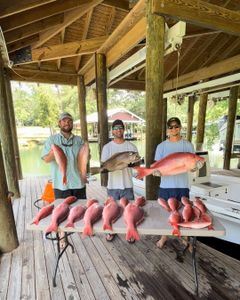 Family-friendly Gulf Shores fishing charters.