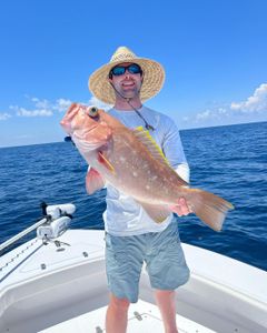 Grouper, Unique Gulf Shores fishing trips.