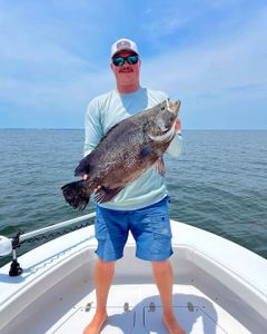 Top-rated Gulf Shores Alabama fishing, Tripletail
