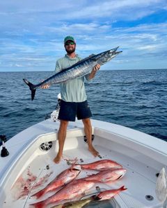 Scenic Gulf Shores fishing trips. Fishing Kingfish