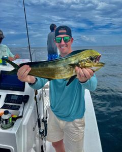 Amazing Gulf Shores Alabama fishing charters.