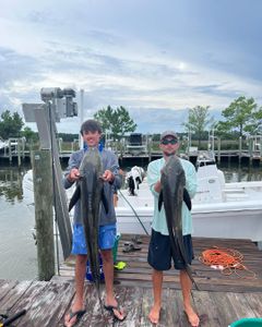 Gulf Shores fishing trips delight.