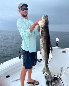 Ultimate Gulf Shores fishing trips.