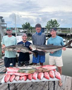 Exclusive inshore fishing Gulf Shores, Cobia trip!