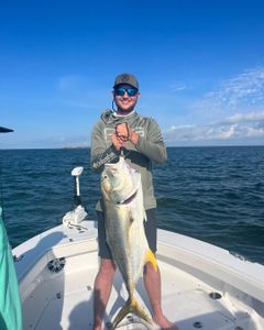 Captivating Gulf Shores fishing charters.