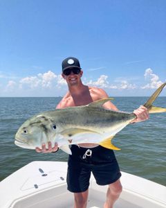 Crevalle Jack fish caught in AL