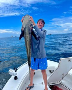 One person fishing in the Gulf Shores area