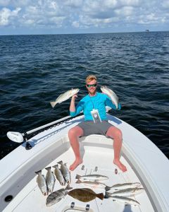 4 fish caught at Gulf Shores