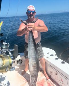 King Mackerel fishing in AL