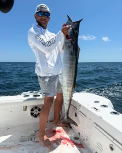 Wahoo fish caught in Gulf Shores