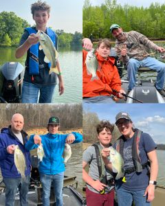 5 largemouth bass, crappie, and wiper fish caught in Harned