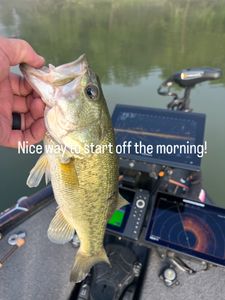 Scenic cruises, fishing tours, and water sports in Harned
