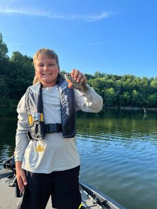 Person enjoying water sports activities in Harned