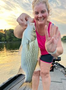 A fisherman catching a large yellow bass in KY