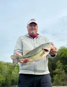 Largemouth bass caught in Harned