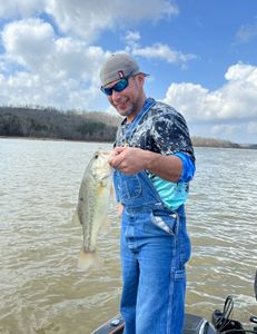 Largemouth Bass, 16-inch fish caught in Harned