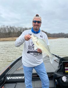 Striped bass catch in Harned