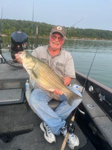 Striped bass caught on fishing cruises, tours, and water sports in KY