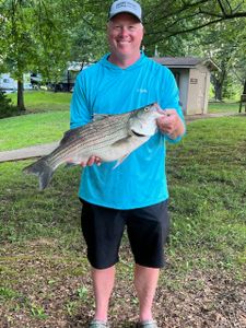 Striped bass caught during fishing trip in KY